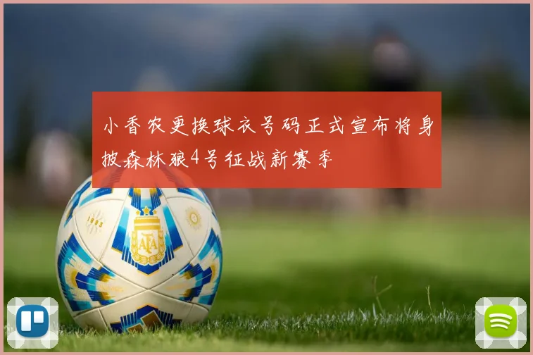小香农更换球衣号码正式宣布将身披森林狼4号征战新赛季
